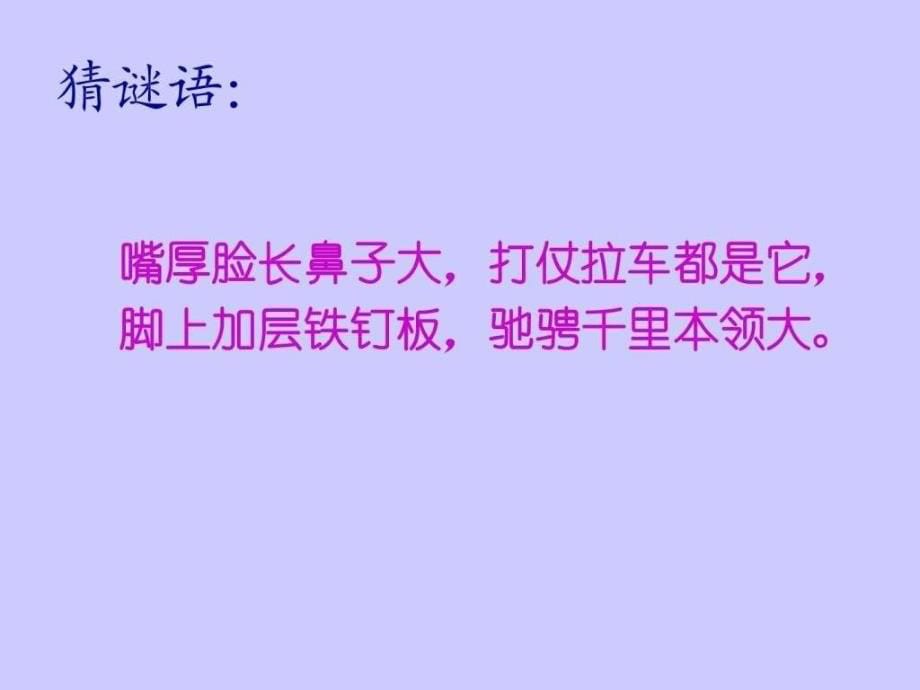 小学二年级二期品德与生活我和动物交朋友_第5页