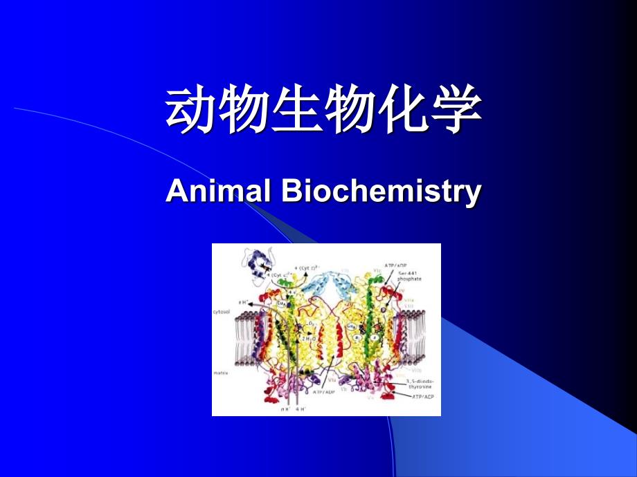 动物生物化学AnimalBiochemistry_第1页