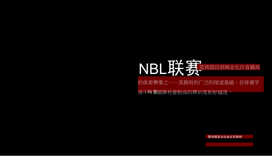 （电竞）NBL2016-2019赛季招商方案-冠名合作伙伴20150908_第4页