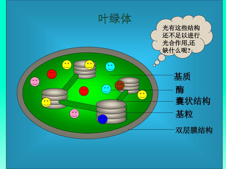 人教版教学课件高三生物光合作用-课件_第4页