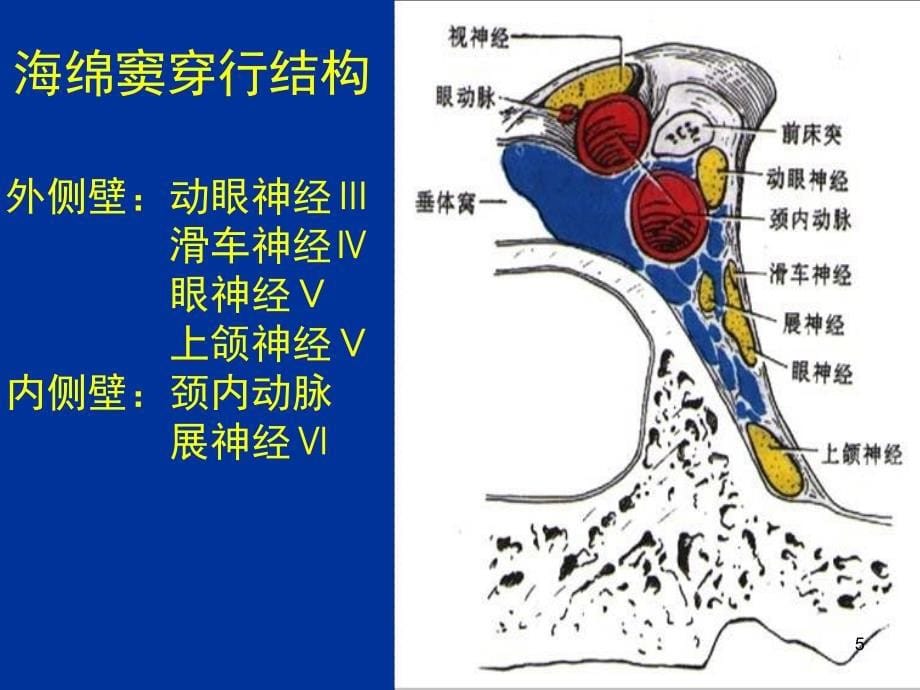 海绵窦综合征ppt课件.ppt_第5页