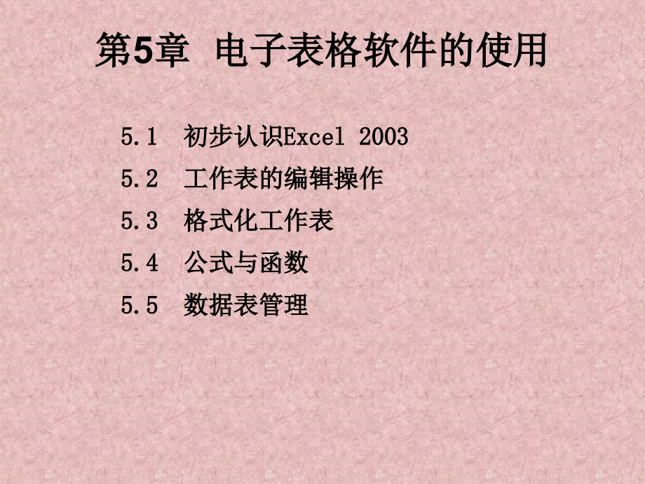 柳青全套配套课件计算机应用基础第2版 第5章 电子表格软件的使用_第1页