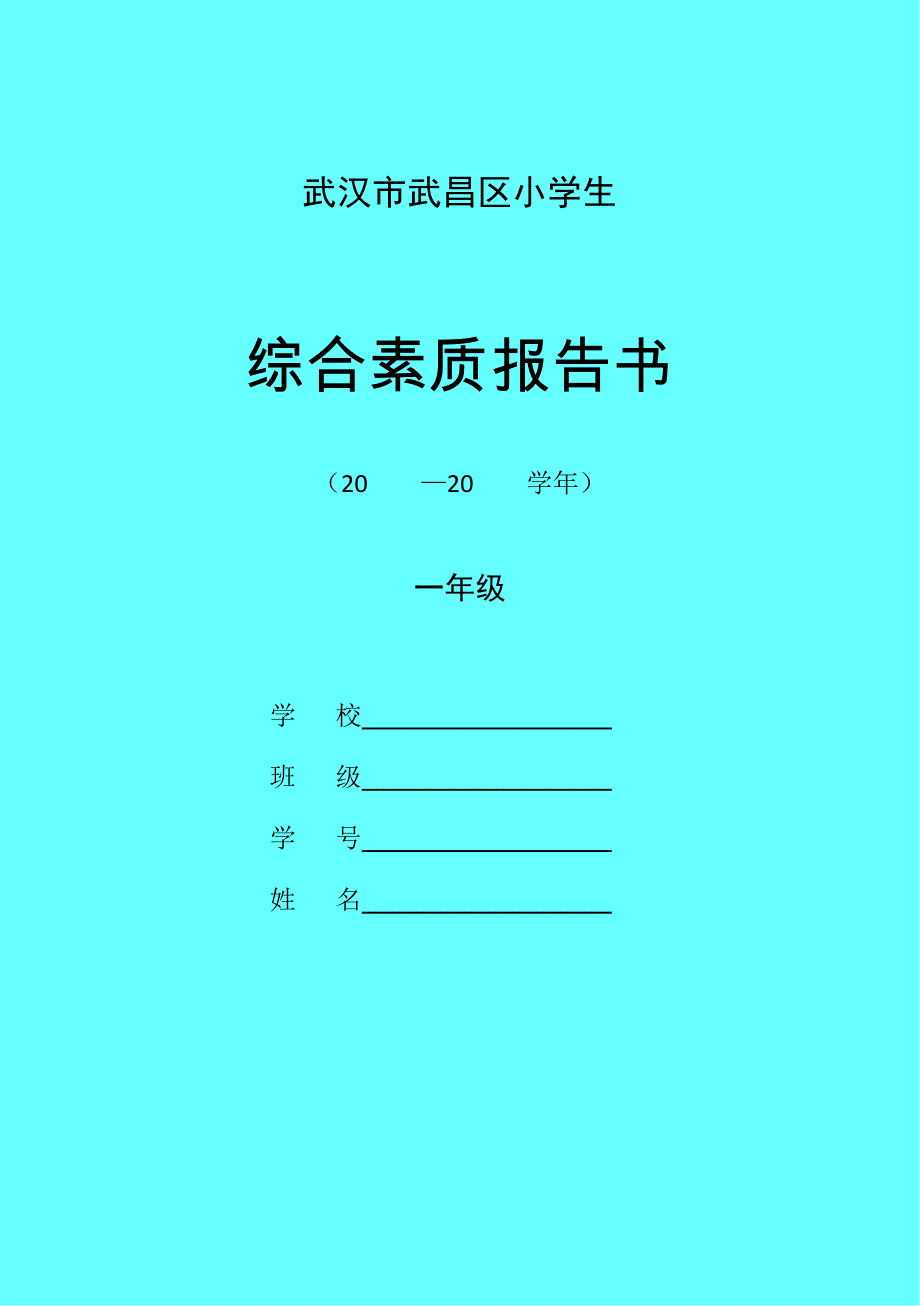 武汉市武昌区小学生综合素质报告书1223-1年级_第1页