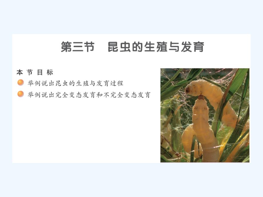 苏教版初中二年级生物昆虫的生殖与发育_第1页