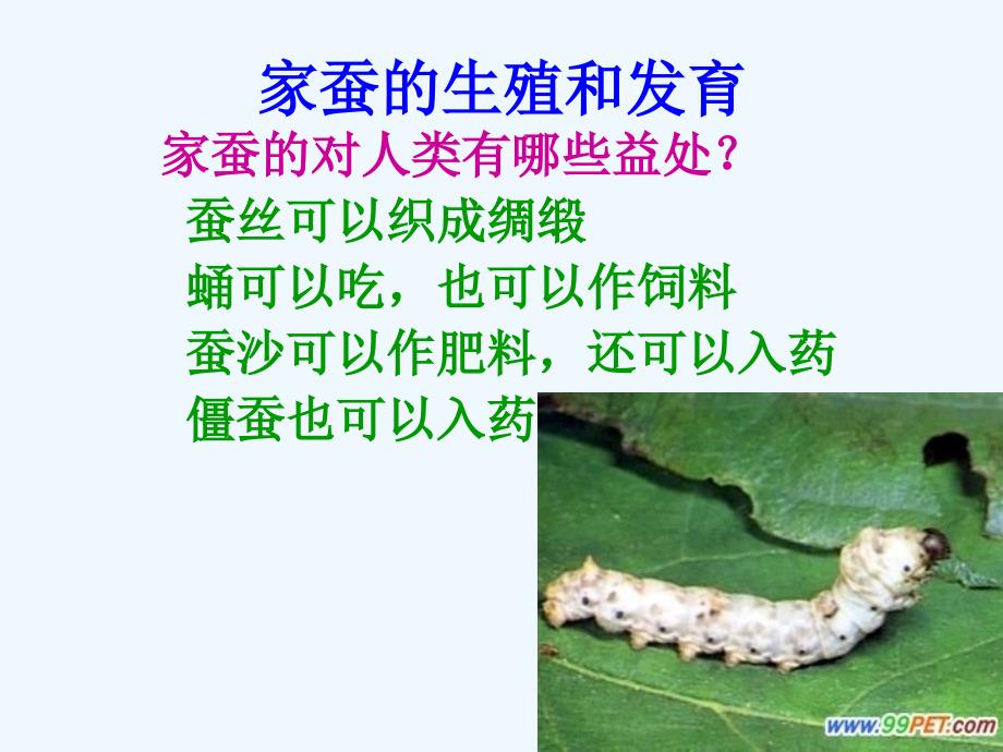 苏教版初中二年级生物昆虫的生殖与发育_第3页