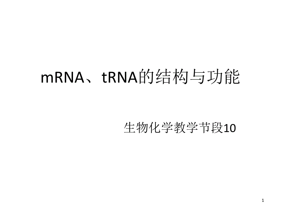 mRNA tRNA结构与功能ppt课件.ppt_第1页