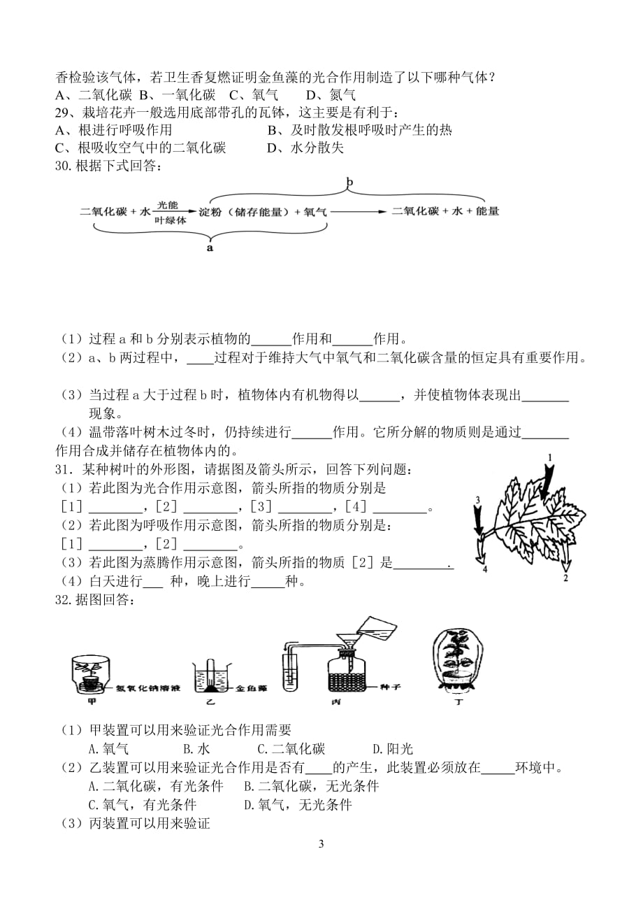 植物的呼吸作用练习题_第3页