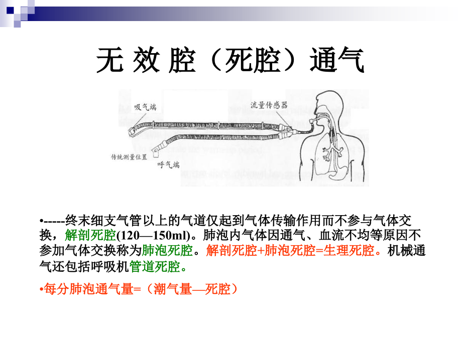 机械通气基础与临床PPT课件_第4页