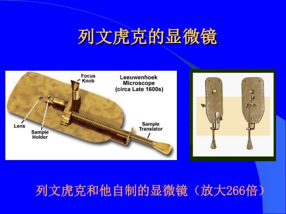 微生物绪论ppt课件.ppt_第5页