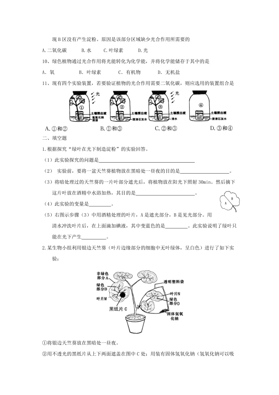 2019-2020年七年级生物上册3.6.3《植物光合作用的实质》课时训练（新版）苏教版.doc_第2页