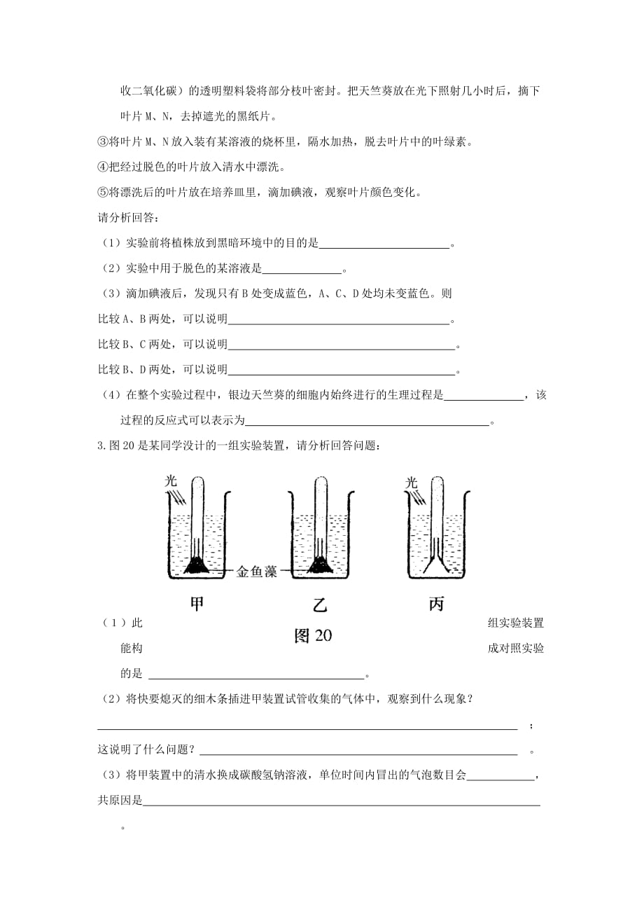 2019-2020年七年级生物上册3.6.3《植物光合作用的实质》课时训练（新版）苏教版.doc_第3页