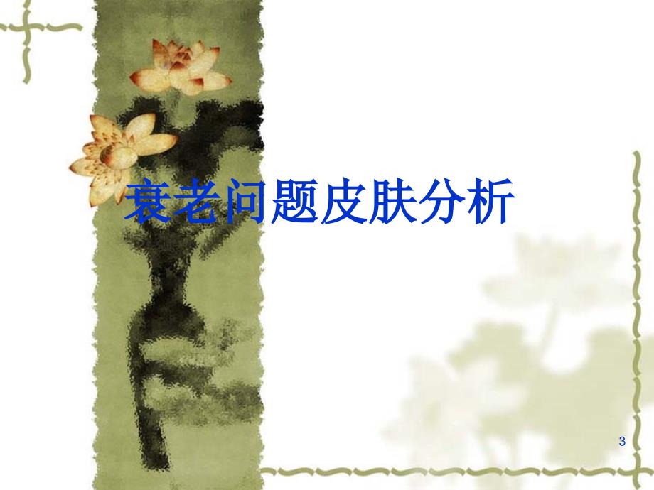 衰老性皮肤ppt课件.ppt_第3页