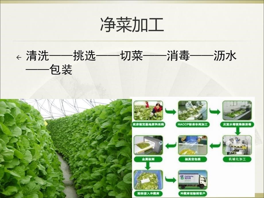 物流案例分析配送ppt课件.ppt_第5页