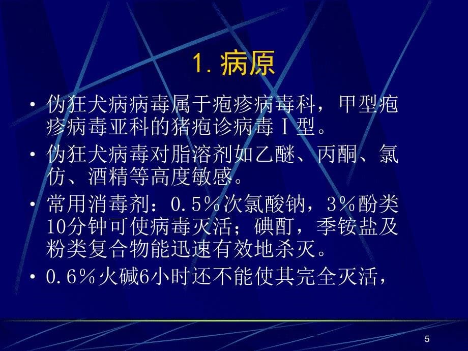 猪病防治技术ppt课件.ppt_第5页