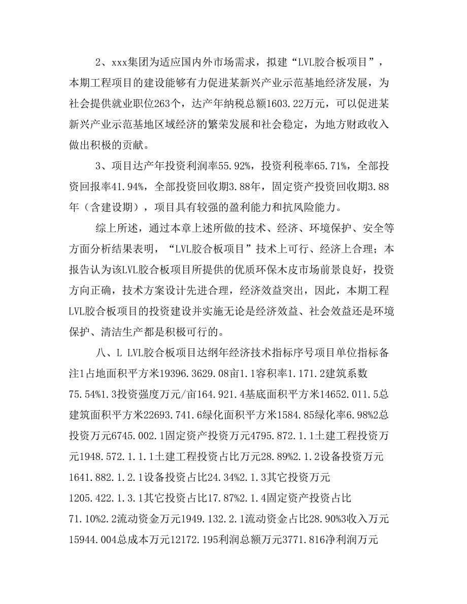 LVL胶合板项目建设方案分析模板范文_第5页