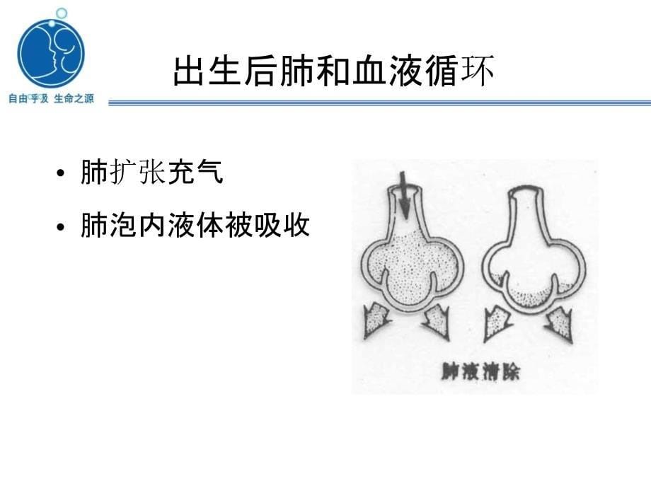 新版新生儿窒息复苏ppt课件.ppt_第5页