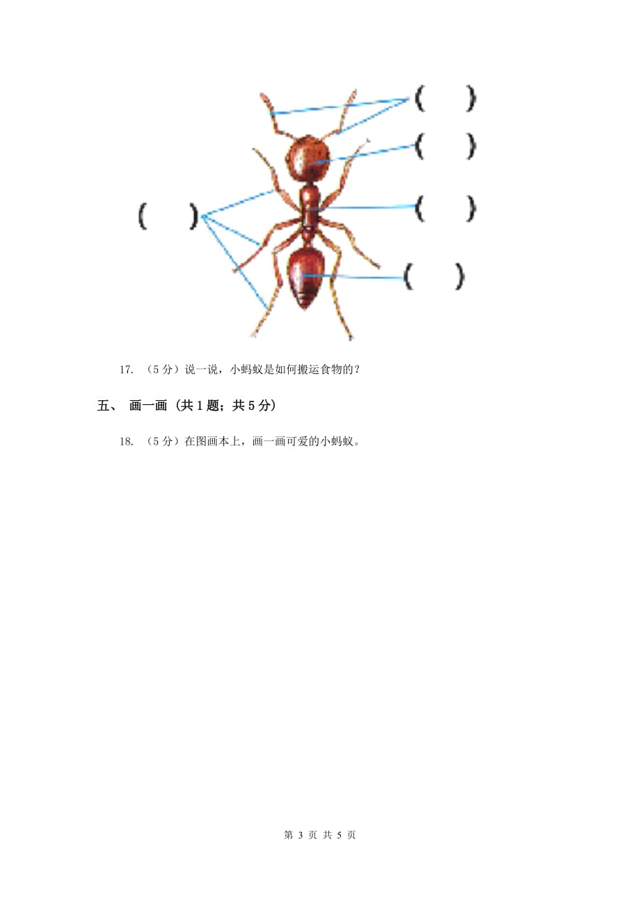 粤教版小学科学二年级下册 1.2 校园里的蚂蚁（同步练习）.doc_第3页