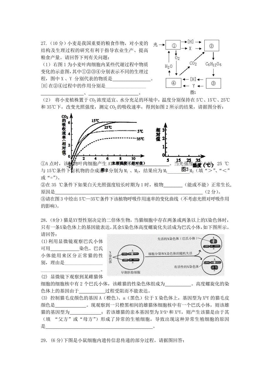 2019-2020年高三11月练习生物试题.doc_第5页