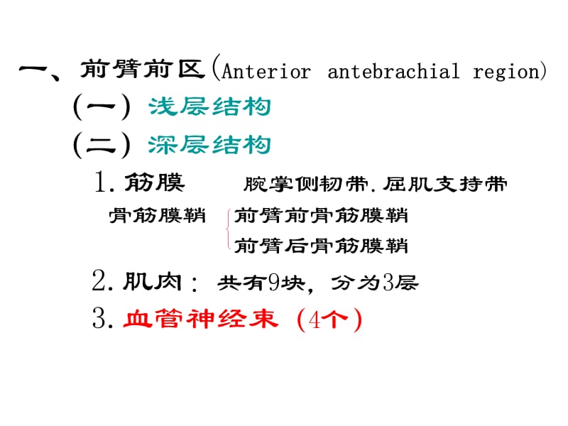 前臂与手局部解剖ppt课件.ppt_第2页