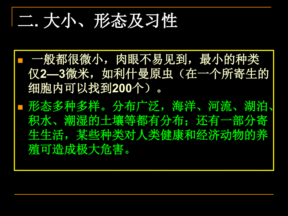 生物竞赛原始动物_第4页