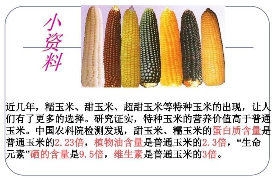 生物必修二杂交育种和诱变育种-课件_第5页