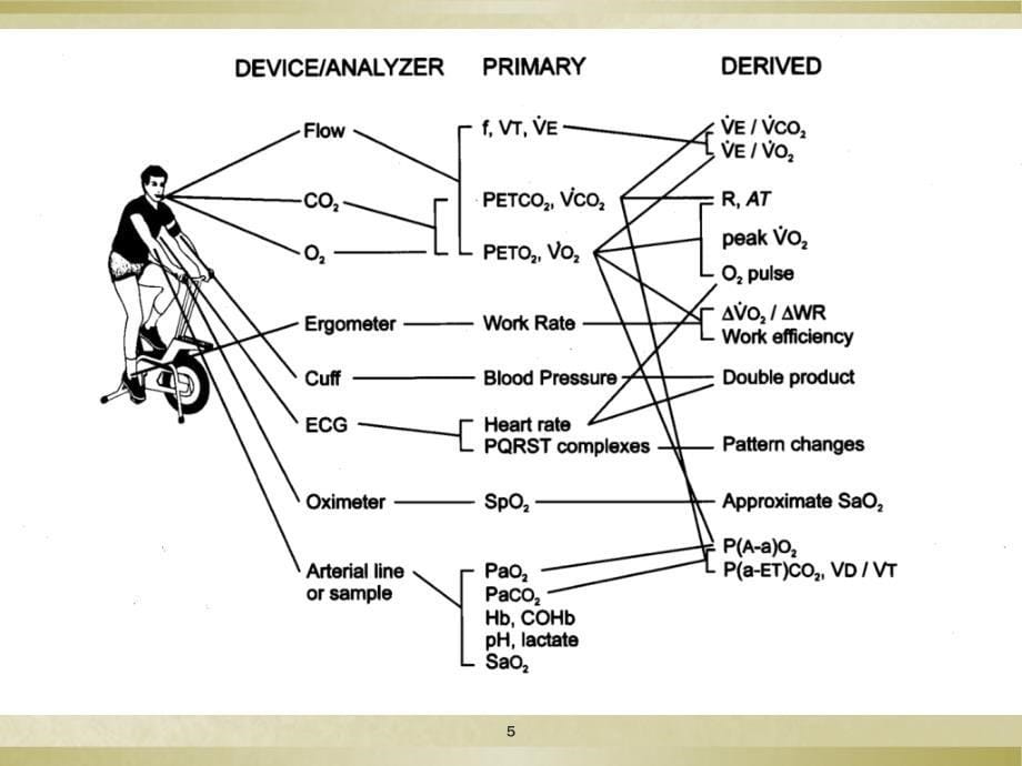 心肺运动试验CPET临床运用ppt课件.ppt_第5页