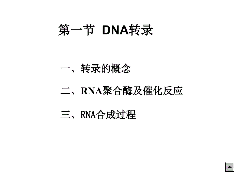 生物化学：第十章RNA生物合成_第4页