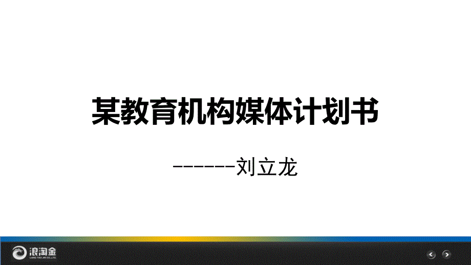 浪淘金简单网--某教育机构媒体计划书_第2页