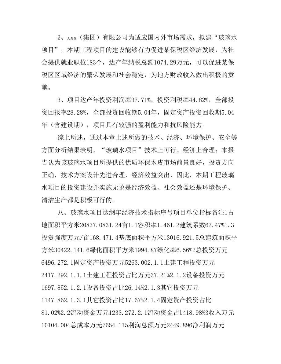 玻璃水项目投资策划书(投资计划与实施方案)_第5页