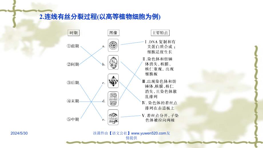 高考生物专题精讲 课件7 细胞的增殖分化衰老凋亡和癌变共40张_第3页