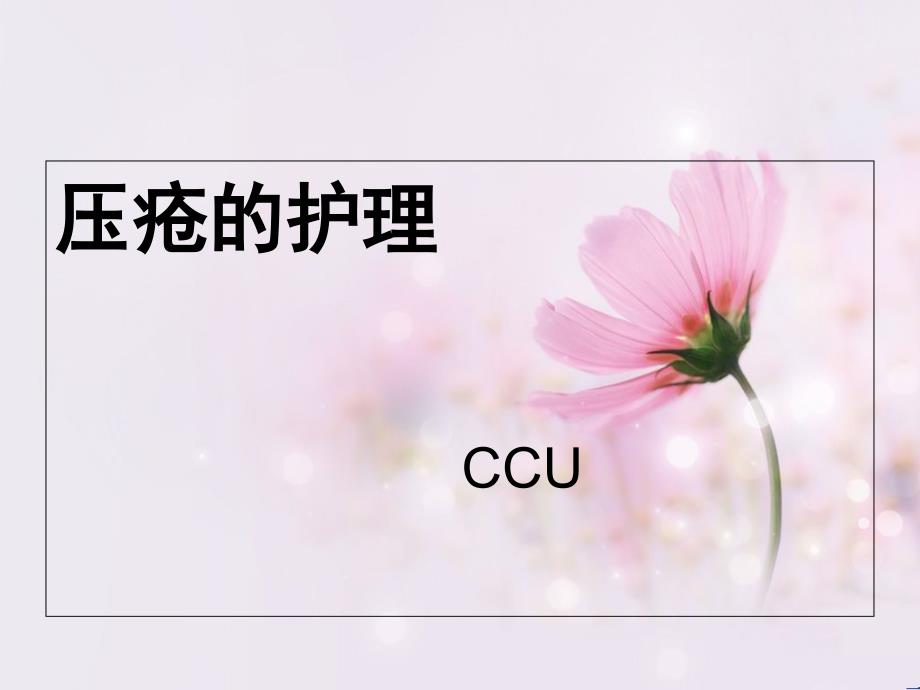 压疮描述ppt课件.ppt_第1页