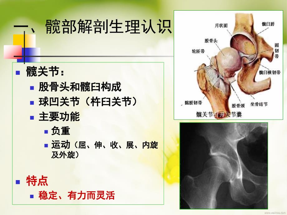 髋关节置换术后的健康宣教75ppt课件.ppt_第3页