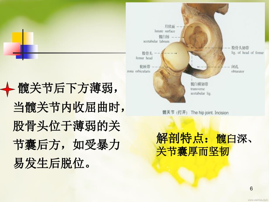 髋关节置换术后的健康宣教75ppt课件.ppt_第4页