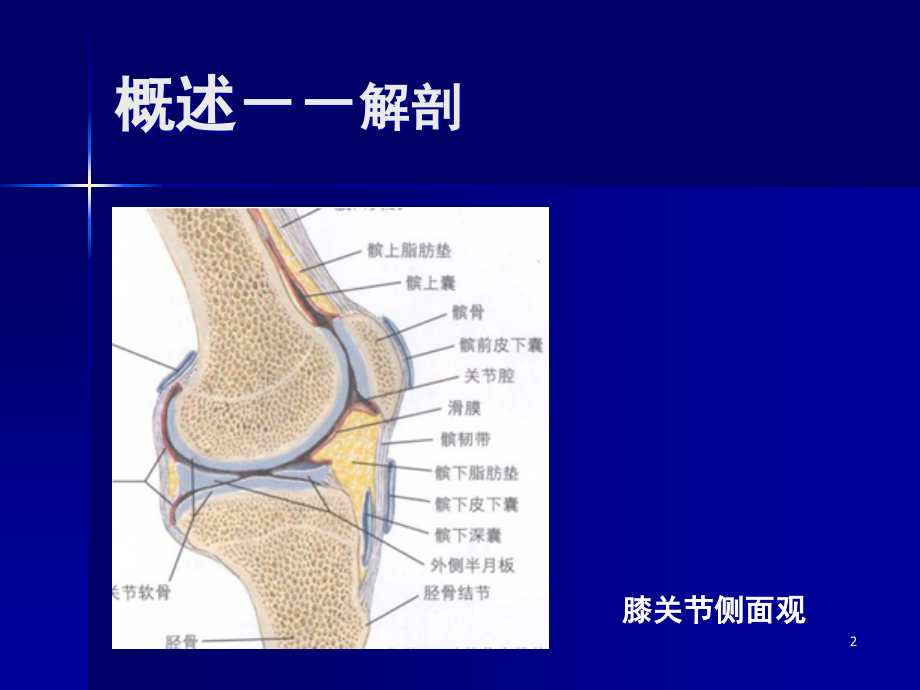 膝关节滑膜炎的诊断与治疗徐俊ppt课件.ppt_第2页