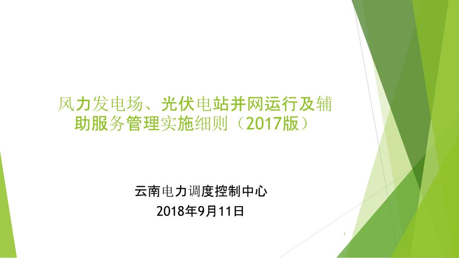 新能源电厂两个细则ppt课件.ppt_第1页