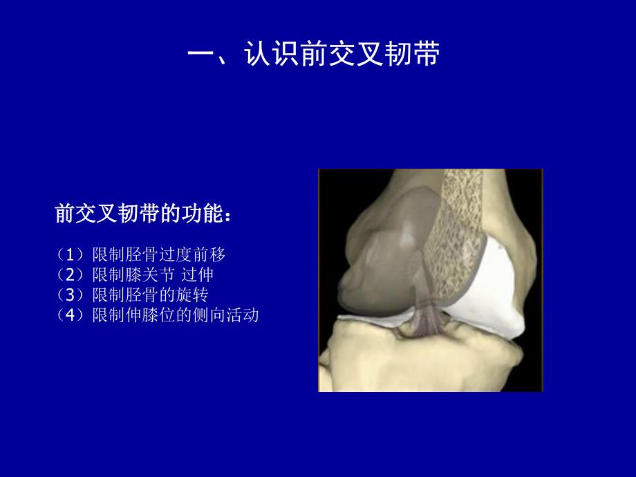 前交叉韧带重建术后康复41285ppt课件.ppt_第3页