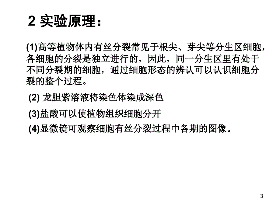 制作并观察植物细胞有丝分裂的临时装片ppt课件.ppt_第3页