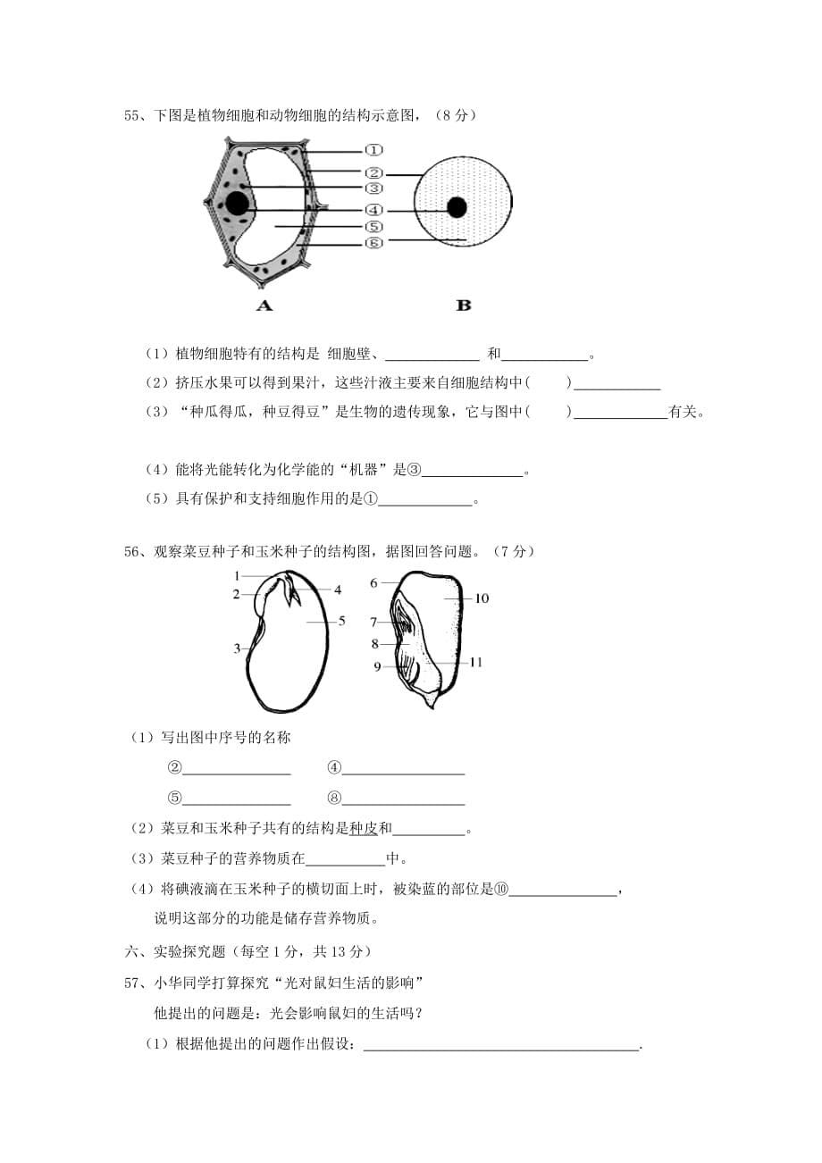 2019-2020年七年级生物上学期期中试题人教新目标.doc_第5页