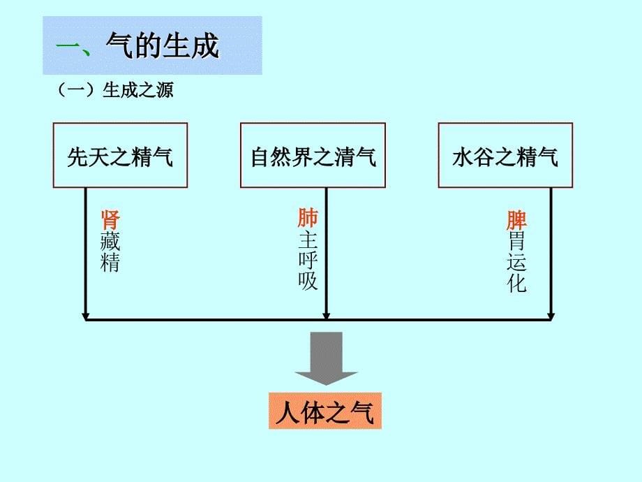 中医基础理论气血津液 (3)ppt课件.ppt_第5页