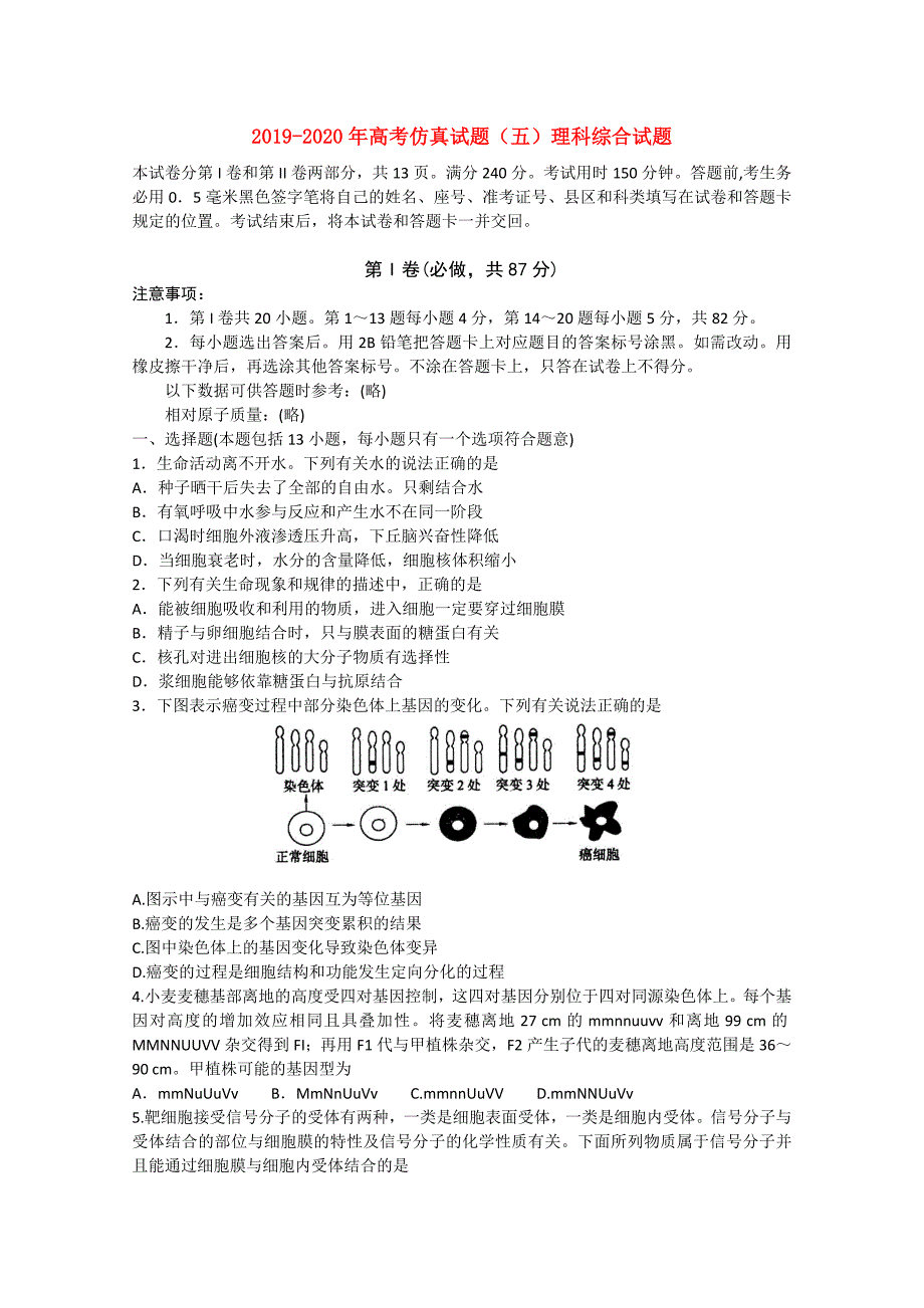 2019-2020年高考仿真试题（五）理科综合试题.doc_第1页