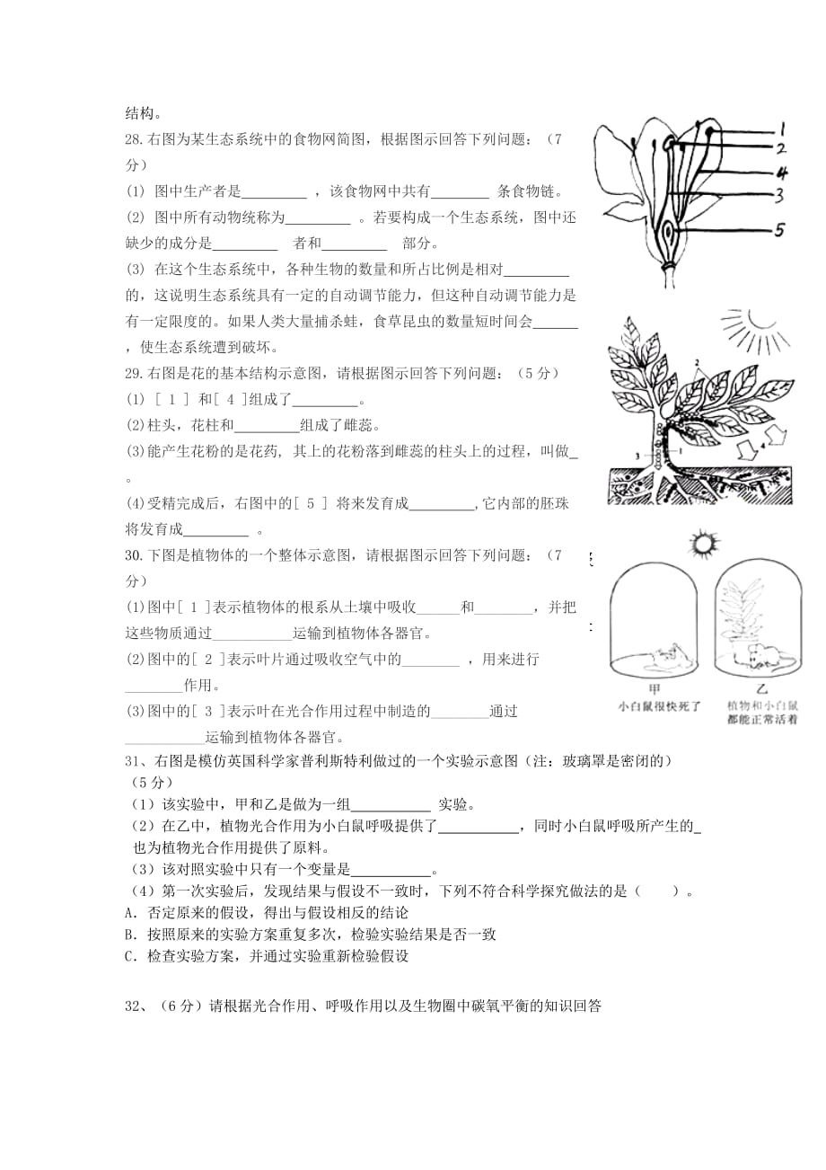 2019-2020年七年级生物上学期期末考试试题 新人教版（VI）.doc_第4页