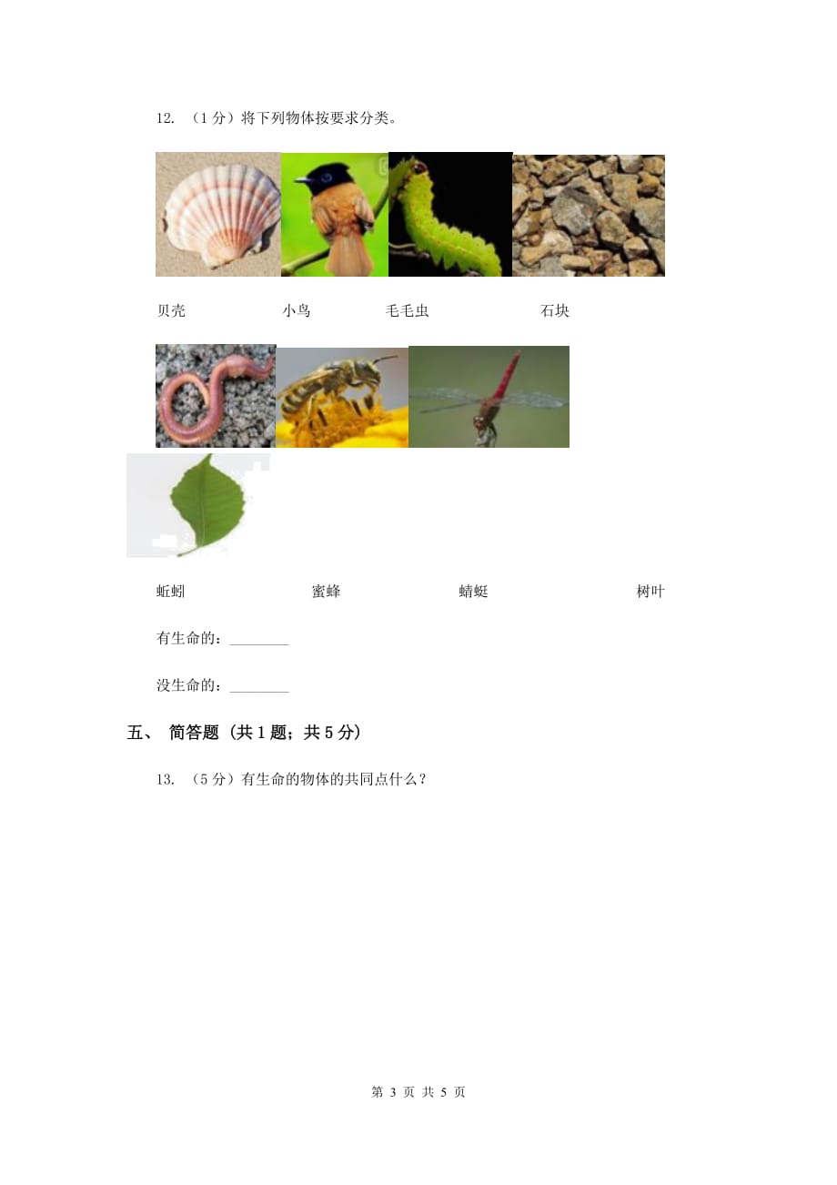 2019年粤教版小学科学一年级下册 4.11草地里有什么（同步练习）.doc_第3页