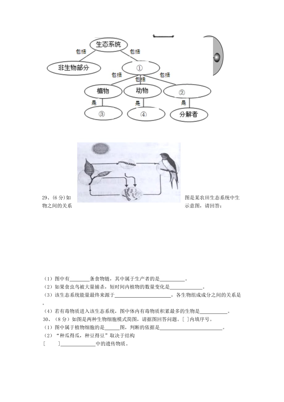 2019-2020年七年级生物上学期期中试卷 新人教版.doc_第4页