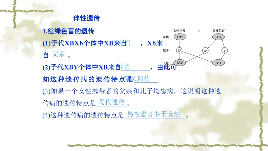 高考生物专题精讲 课件11 伴性遗传与人类遗传病共29张_第5页