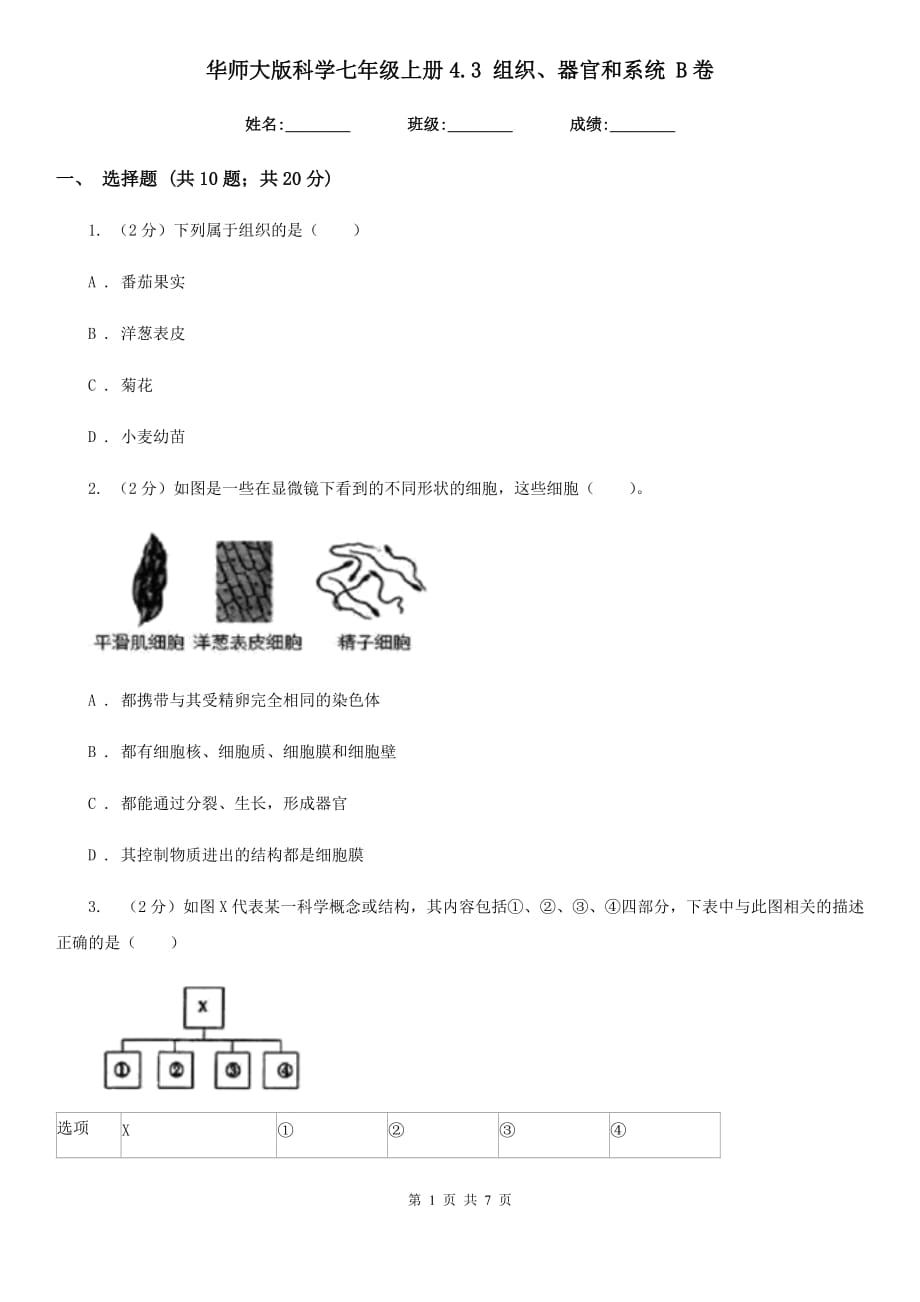 华师大版科学七年级上册4.3组织、器官和系统B卷.doc_第1页