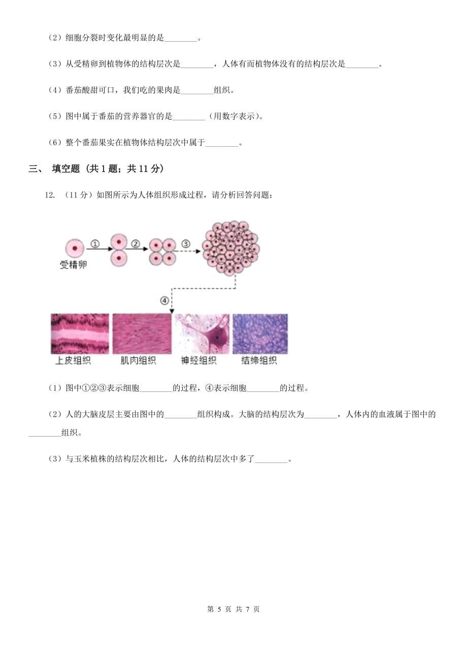 华师大版科学七年级上册4.3组织、器官和系统B卷.doc_第5页