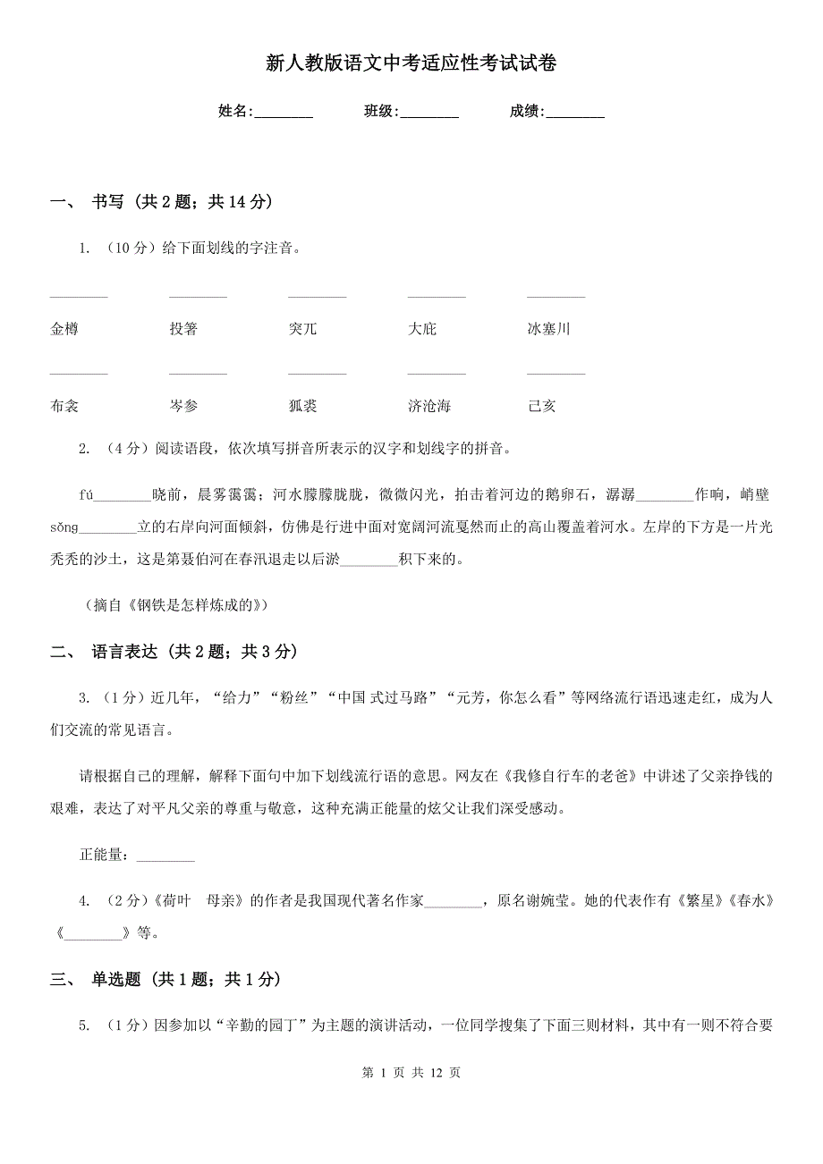 新人教版语文中考适应性考试试卷.doc_第1页