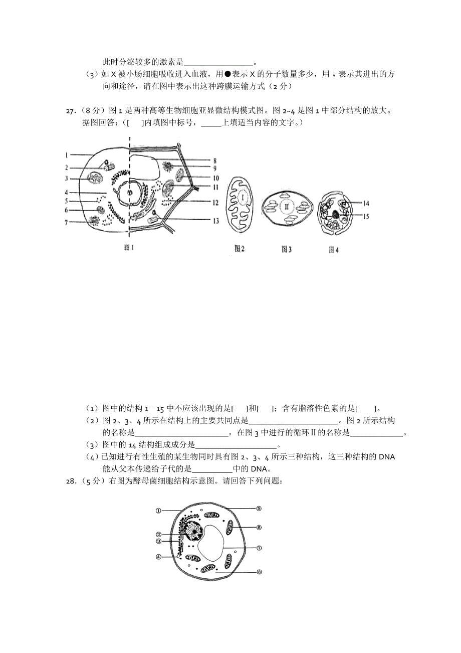 2019-2020年高三年级9月初检测试题（生物）.doc_第5页