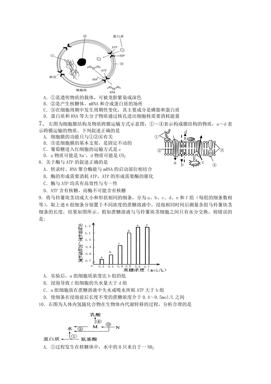 2019-2020年高三上学期第二次测试生物试题 含答案.doc_第2页