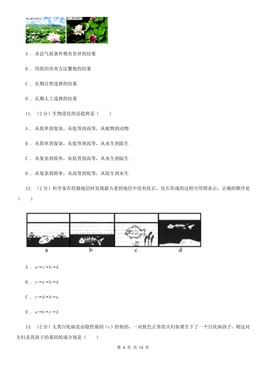 2020届中考复习专题09：遗传与进化D卷.doc_第4页